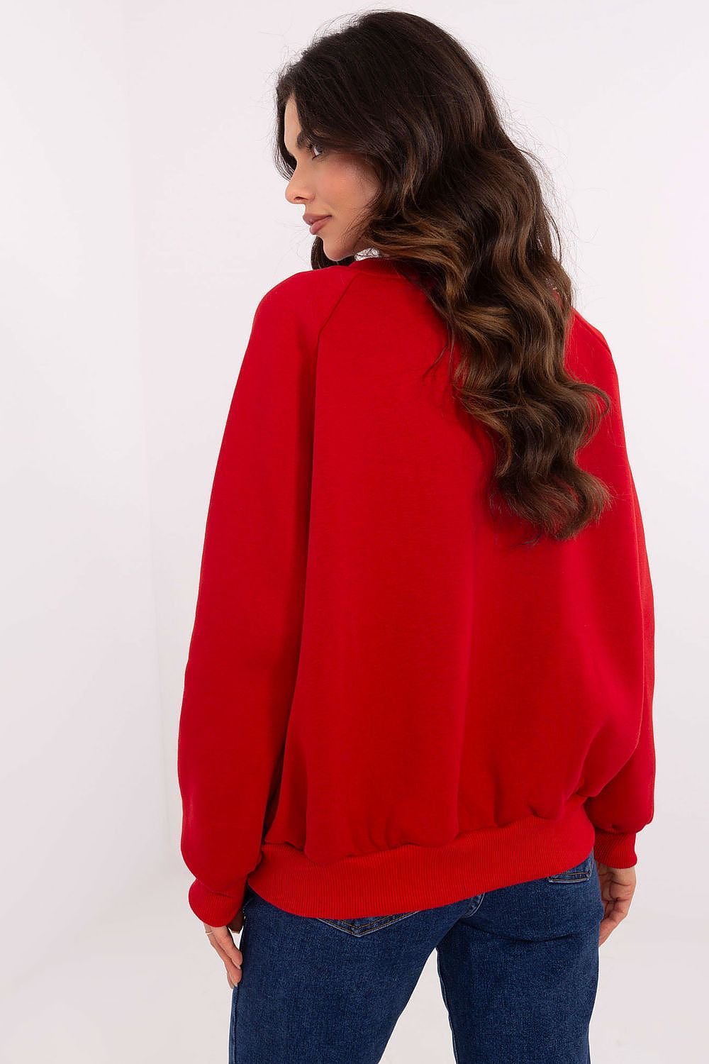 Sweatshirt model 206362 Factory Price