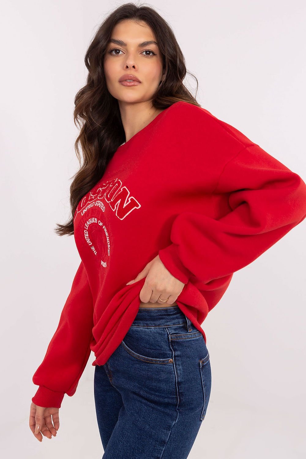 Sweatshirt model 206371 Factory Price