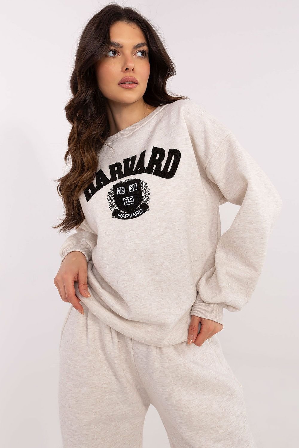 Sweatshirt model 206135 Factory Price